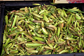 Картинка еда окра бамия