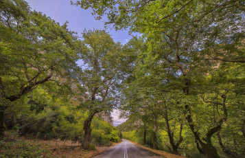 Картинка природа дороги простор