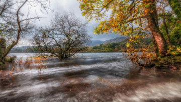 Картинка природа реки озера простор