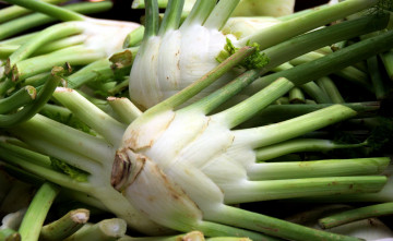 Картинка еда овощи фенхель