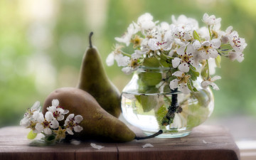 Картинка еда груши цветы ваза