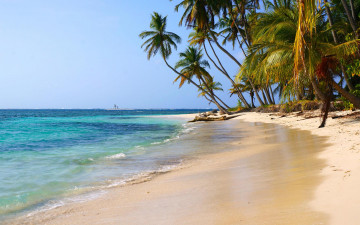 Картинка природа тропики море пляж