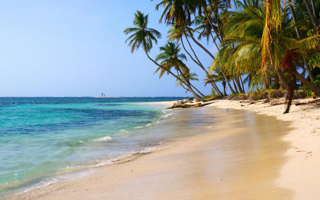 Обои картинки фото природа, тропики, море, пляж