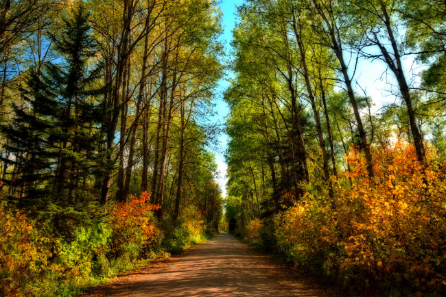 Обои картинки фото природа, дороги, простор