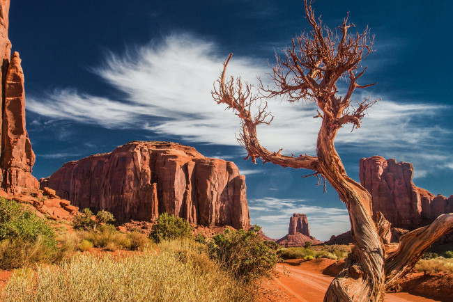 Обои картинки фото природа, пустыни, простор