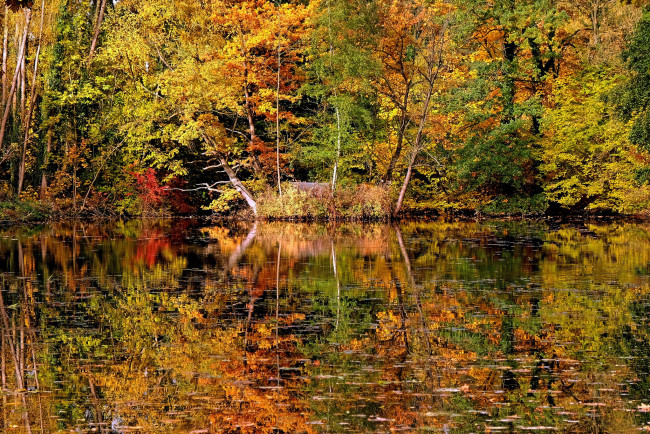 Обои картинки фото природа, реки, озера, простор