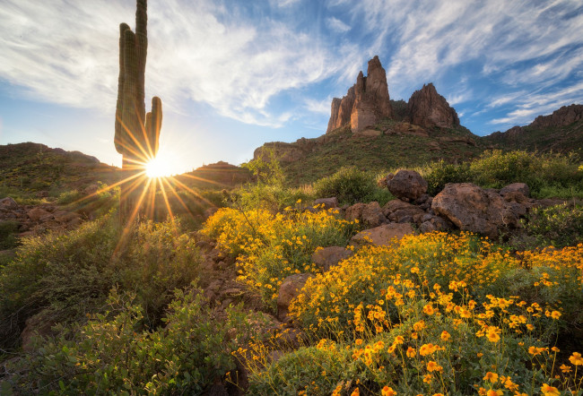 Обои картинки фото природа, восходы, закаты, простор