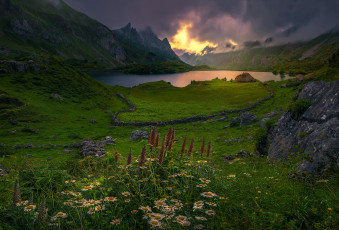 Картинка природа луга простор