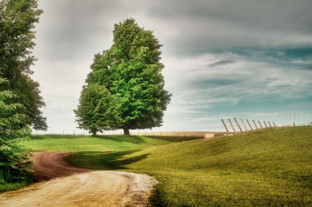 Картинка природа дороги простор