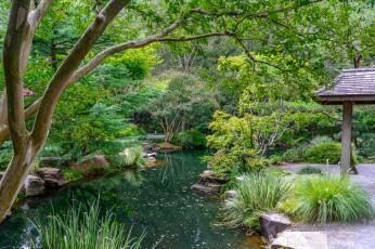 Картинка природа парк простор