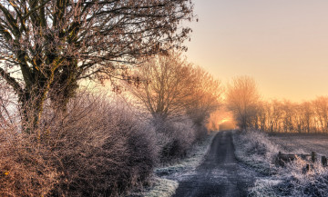 Картинка природа дороги утро деревья дорога