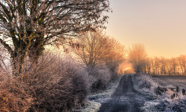 Обои картинки фото природа, дороги, утро, деревья, дорога