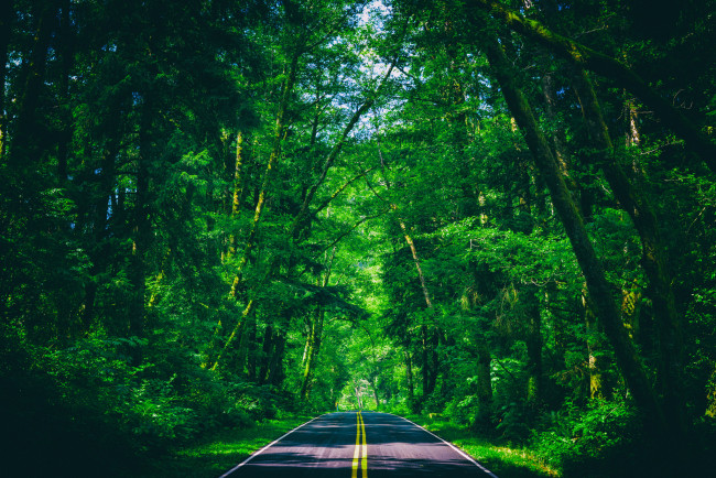 Обои картинки фото природа, дороги, простор