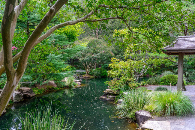 Обои картинки фото природа, парк, простор