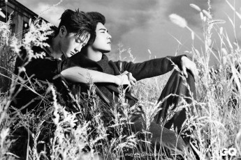 Картинка разное компьютерный+дизайн ван ибо сяо чжань трава