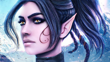 Картинка divinity+original+sin+2 видео+игры divinity +original+sin+ii девушка фон ушки