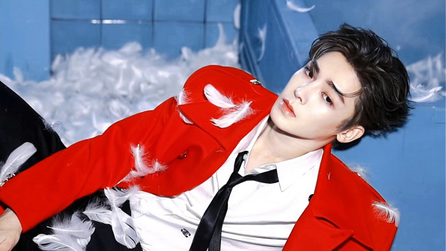 Обои картинки фото мужчины, hou ming hao, актер, пиджак, рубашка, галстук, перья