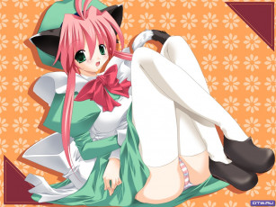 Картинка аниме animals