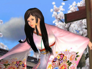 Картинка dead or alive видео игры