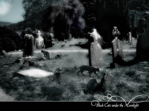 Картинка фэнтези другое