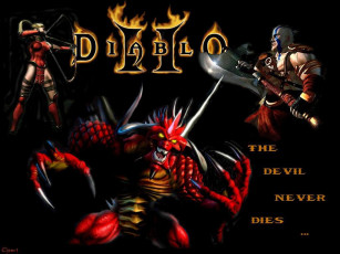 Картинка видео игры diablo ii