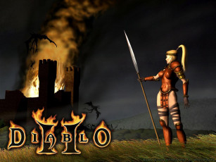 Картинка видео игры diablo ii