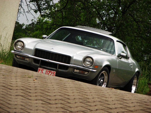 Обои картинки фото автомобили, camaro