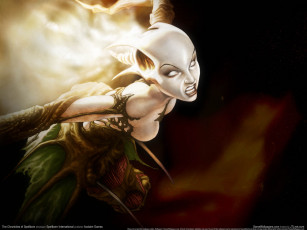 Картинка the chronicles of spellborn видео игры