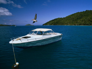 Картинка корабли катера