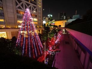 Картинка праздничные Ёлки