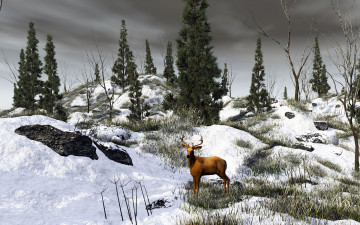 Картинка 3д графика animals животные