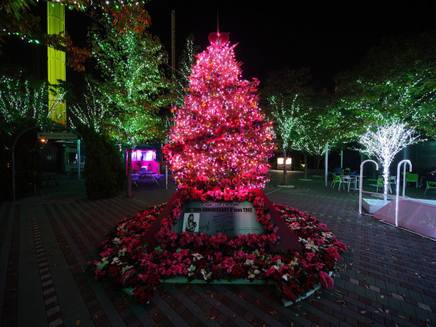 Обои картинки фото праздничные, Ёлки