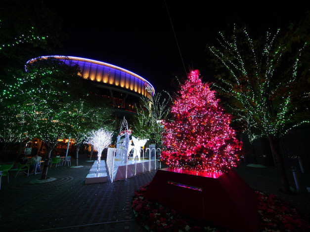 Обои картинки фото праздничные, Ёлки