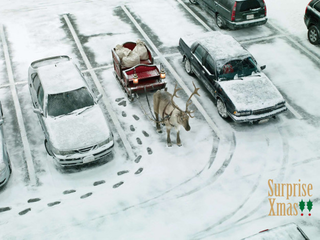 Обои картинки фото животные, олени