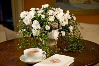 Картинка цветы букеты композиции белые букет