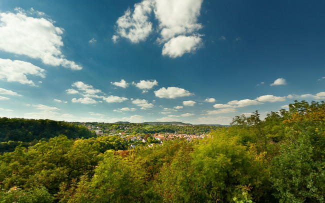 Обои картинки фото природа, пейзажи, деревья, городок