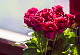 Картинка цветы розы алый букет