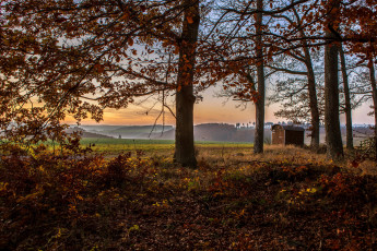 Картинка германия клоттен природа деревья дымка поля