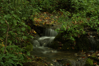 Картинка природа реки озера лес ручей