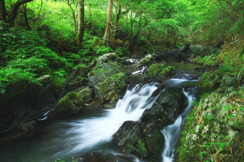 Картинка природа реки озера река лес камни