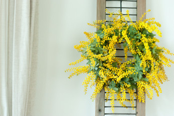 Картинка цветы мимоза венок желтый