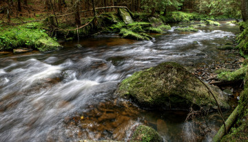 Картинка Чехия prasily природа реки озера река