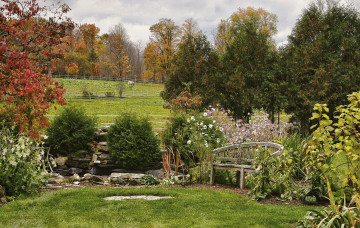 Картинка природа парк деревья