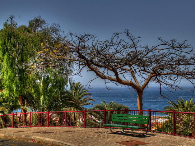 Обои картинки фото испания, канарские, острова, пуэрто, де, ла, крус, природа, пейзажи