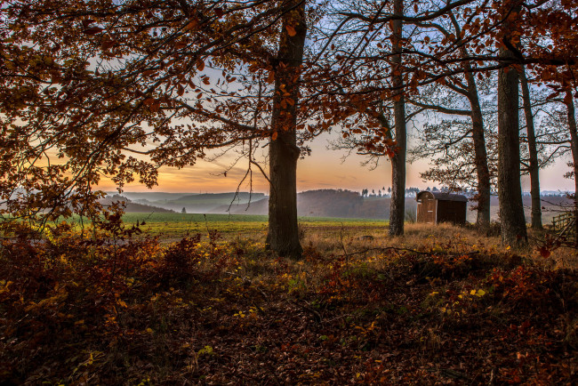 Обои картинки фото германия, клоттен, природа, деревья, дымка, поля