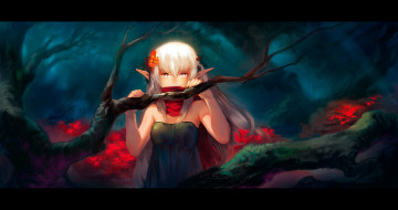 Картинка by asuka111 аниме *unknown другое ночь ветка шарф лес платье девушка эльф цветы деревья