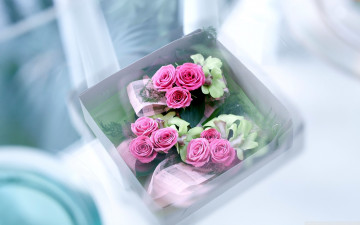 Картинка цветы розы композиция