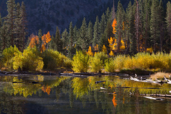 Картинка природа реки озера осень река лес горы