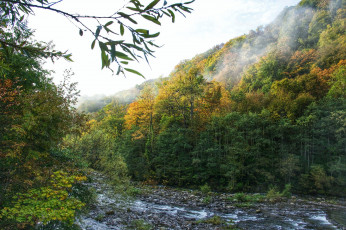 Картинка природа реки озера река лес горы