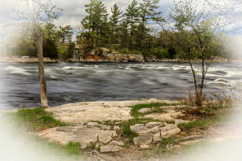 Картинка природа реки озера стремнина река лес